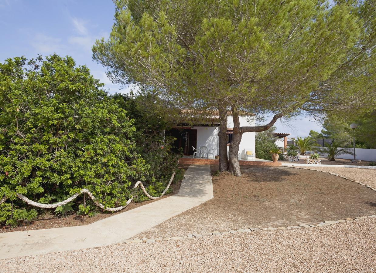 Viviendas Los Olivos - Formentera Break 米乔尔海滩 外观 照片